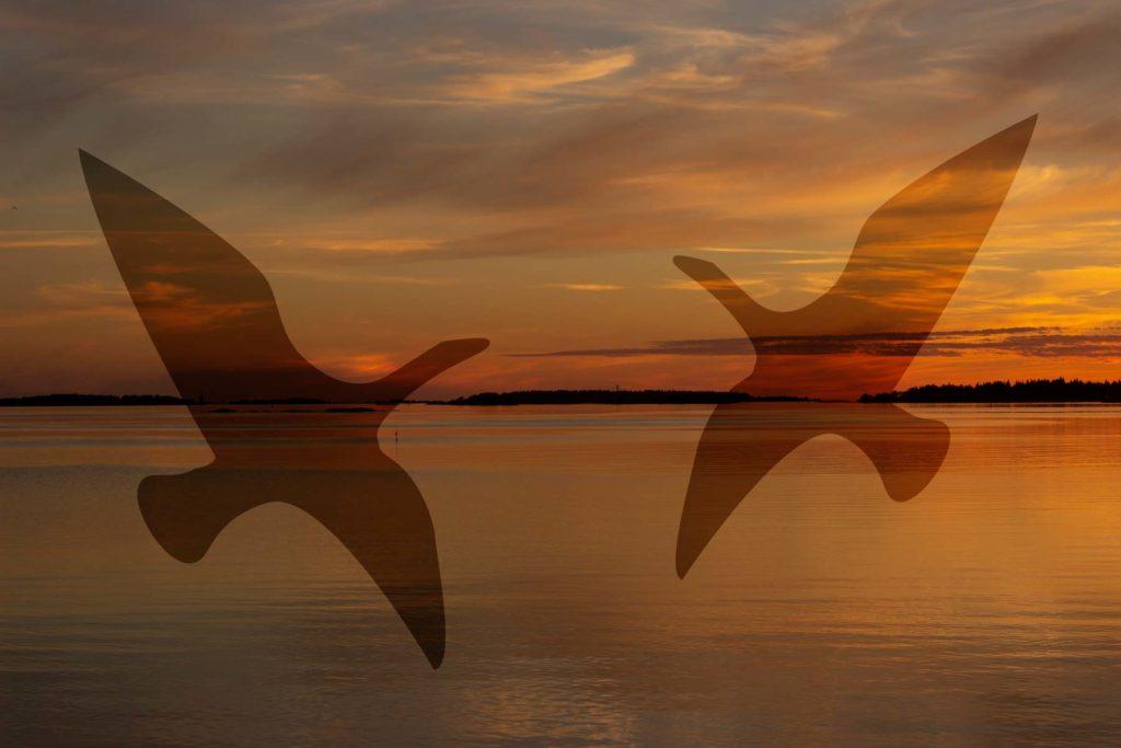 Kaksi osittain läpinäkyvää linnun hahmoa aurinkolaskun maisemassa veden äärellä.
