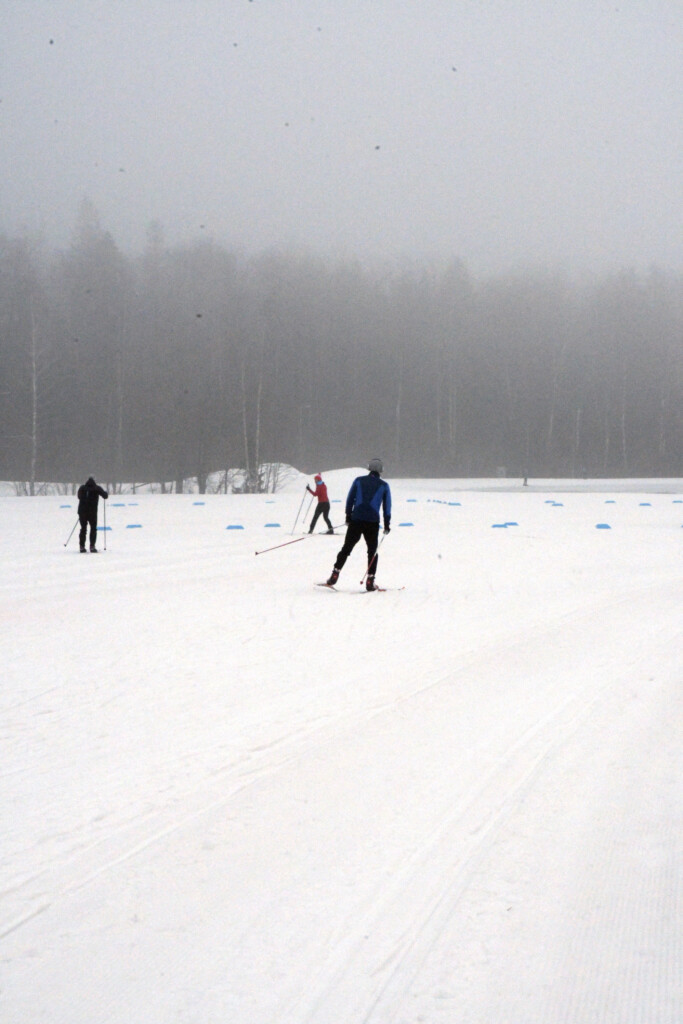 Hiihtäjät sumuisella pellolla